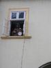 img 4263