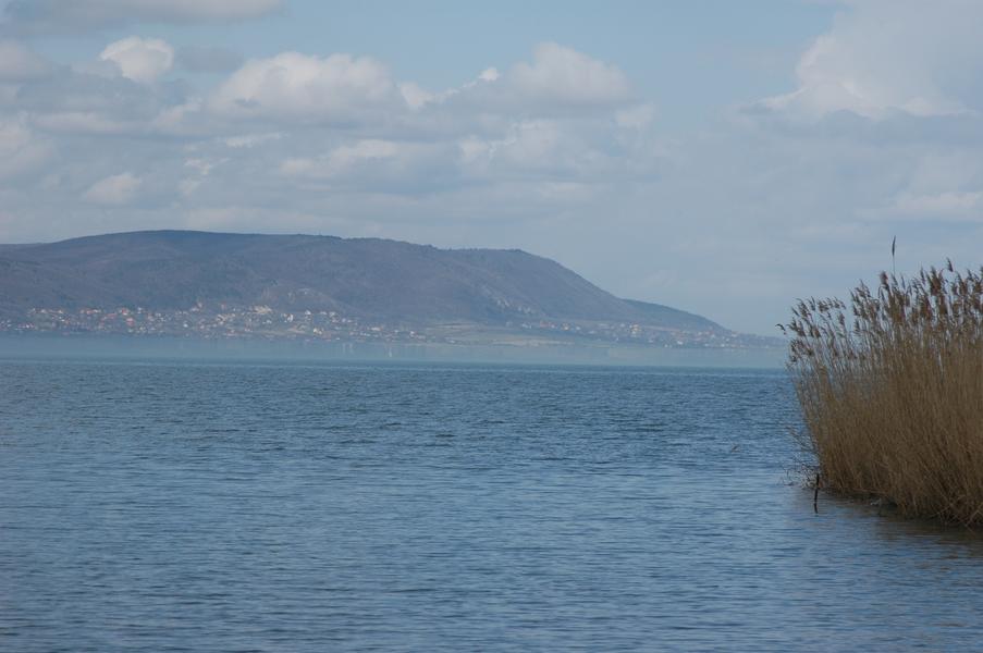 dsc 0062