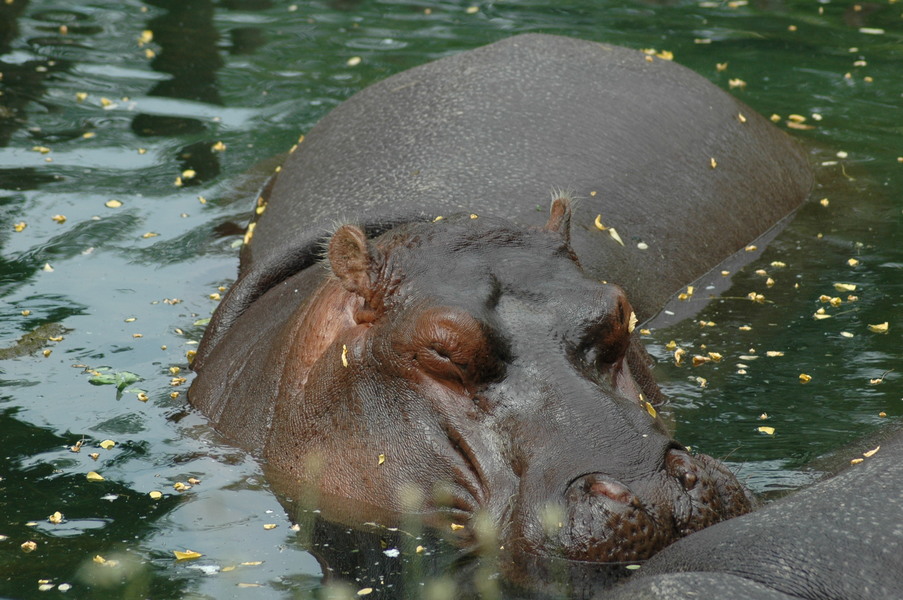 dsc 1947