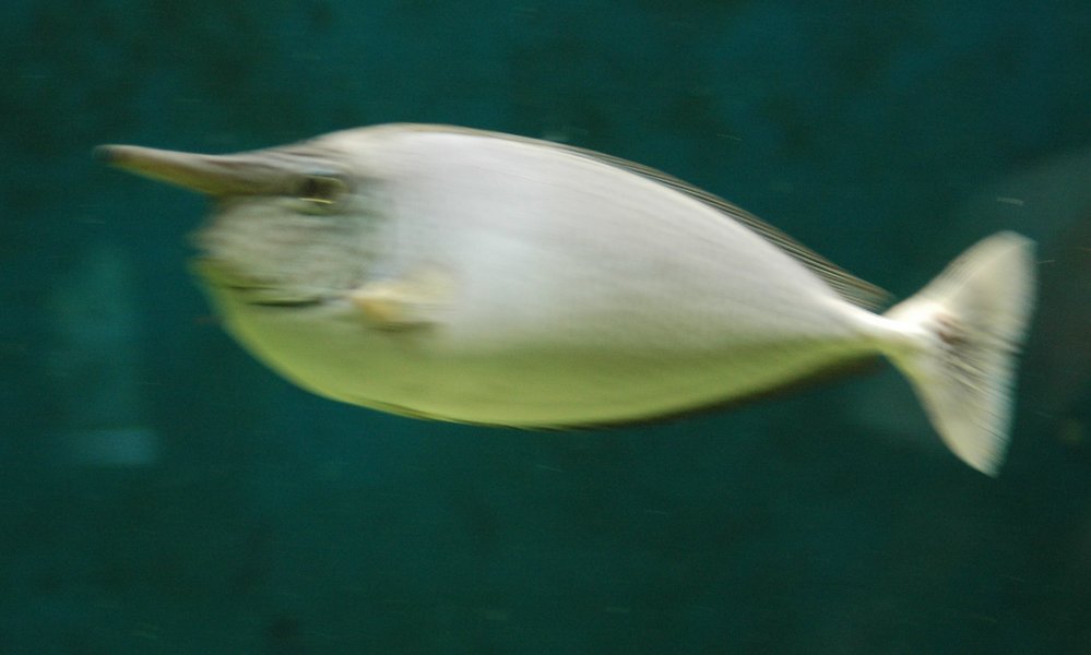 dsc 2029