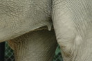dsc 1936