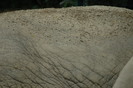 dsc 1937